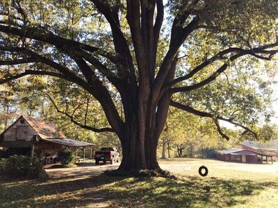 Events at Historic Red Farm