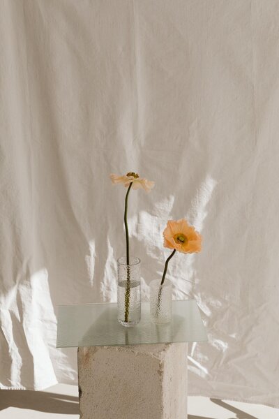Zwei frische orangene Blumen in einer Vase