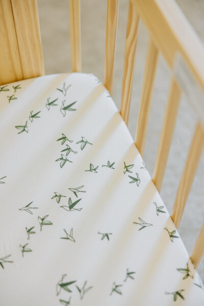 In Home Newborn Photo Session Nashville TN
