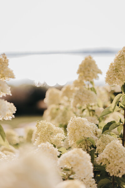 sjb-sarah-jane-bradley-photography-east-coast-wedding-photographer-235