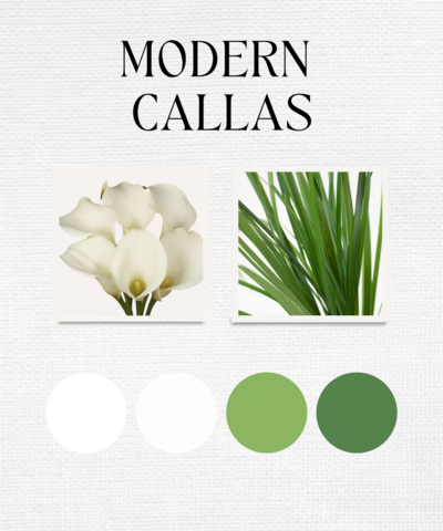 Modern Callas is a wedding color palette, a sampling of blooms and colors found in our packages and arrangements - Just Bloom'd Weddings is a wedding florist in Sudbury, MA.