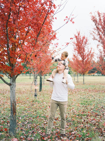 Father carries his 3 year old son on his shoulders so that he can full red autumn leaves of a tree taken by film photographer Bailey Feeler