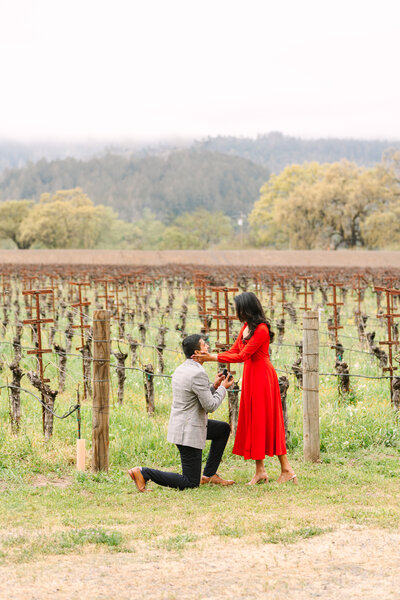 man on one knee in napa vineyard proposing to woman in red dress.