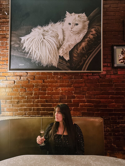 Photo of Kaitlin Powell Photography under a painting of a cat.
