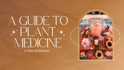 transformational coaching packages