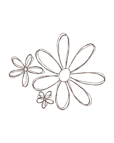 marguerite décorative