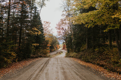 Fall Foliage