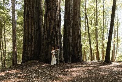 bride and groom talking in a grove of trees