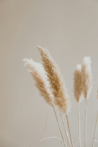 Psychologist Therapy in Kingston
