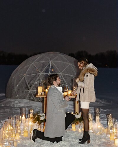 A Minnesota winter proposal