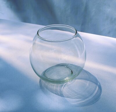 clear glass bowl