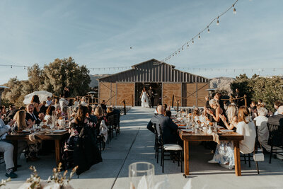 Caitlyn+Jake_Palm_Desert_Destination_with_Seattle_Jen_Lynn_photohraphy_2025-915
