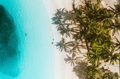 pexels-jess-vide-4602279
