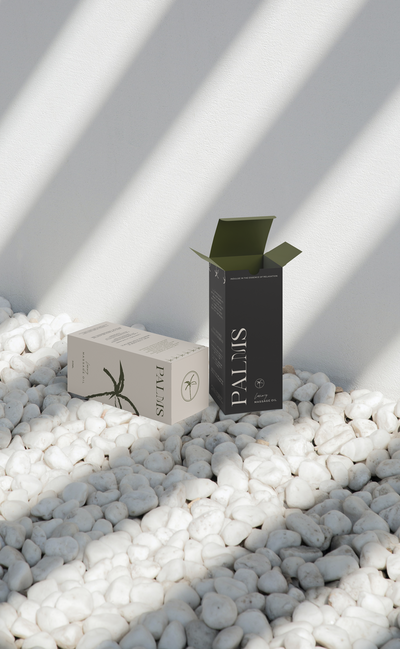 PALMS-Box-Mockup-2