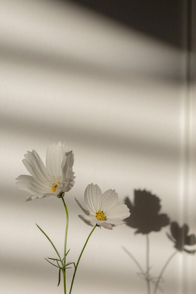 56598b6c-4bd5-4f99-9d1b-d09258d1f0e8