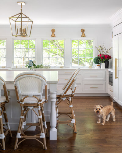 Bright white kitchen with wood/whicker bar stools and little dog on wood floor