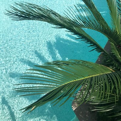 carribean honeymoon