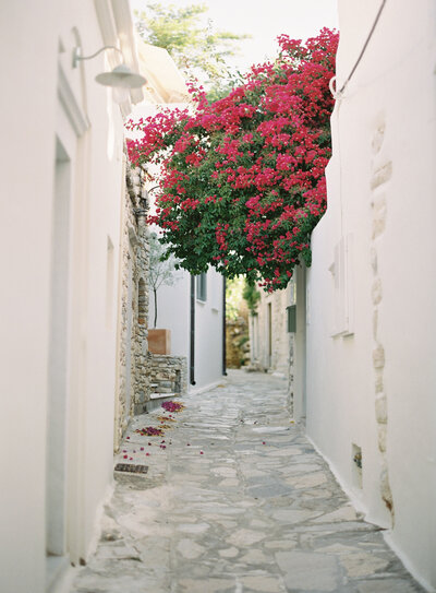 greece-289