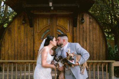 couple holding wedding dogs