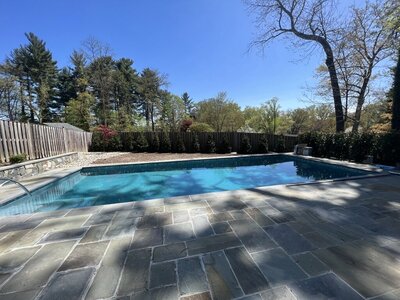 Backyard swimming pool with a simple stone patio, minimal landscaping, and a sparse tree line in the background.
