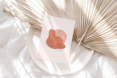 Custom Illustration and Brand Identity by Kelly Packard in St. Pete, Florida