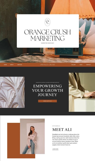 PORTFOLIO — Orange Crush