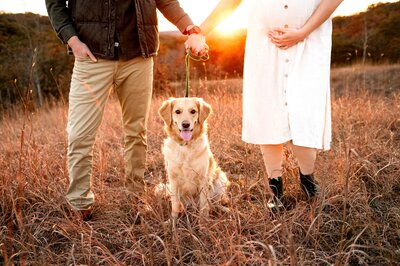 Maternity Session with dog Maryland