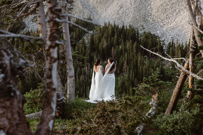 brides standing on mountain