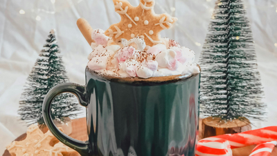 Untitled design - 2025-11-24T174436.878