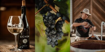 Siners Photography |  Indianapolis Branding Photographer | Anderson Valley Wine Tourism_0001