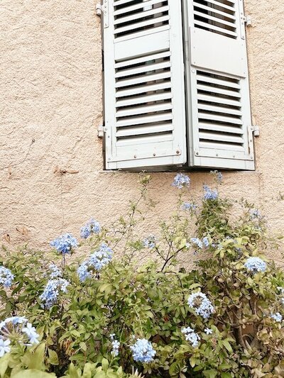 Frans huis met blauw bloemen Frankrijk