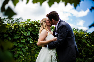 Bride and groom kiss in the vineyard at Quincy Cellars