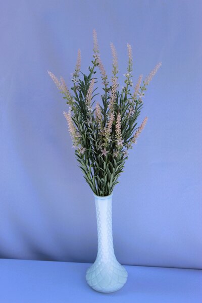 Pink Lavender yorkton rental business