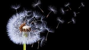 Listen to your ultradian rhythm and take breaks outdoors to lift your mood, creativity, problem-solving and energy levels