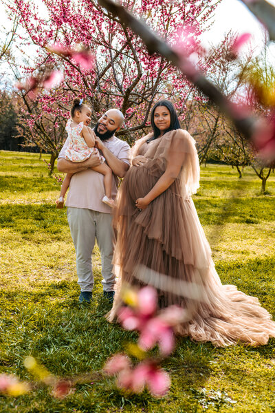 Maternity portraits in the Spring among the Cherry Blossom Trees