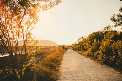 Dirt path lite up by the sun at sunset