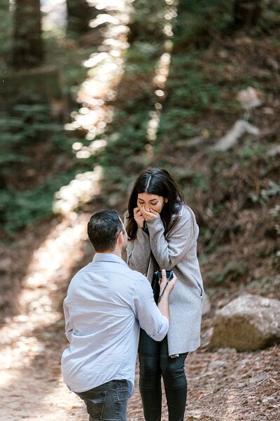 Couple smiles for their big sur engagement