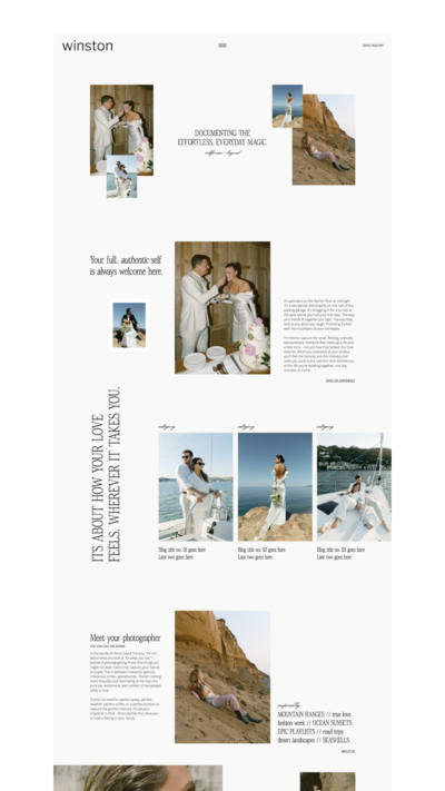 Winston showit website template mockup