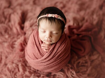 chico newborn photos