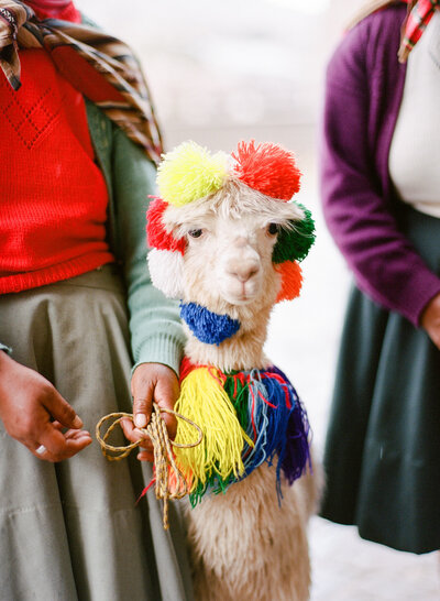 RYALE_Peru-293