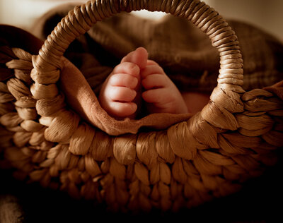 Baby feet in basket