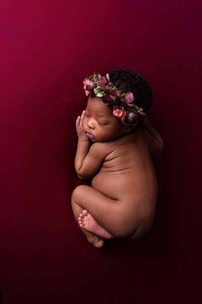 tiny newborn baby girl on burgundy backdrop beautifull headband