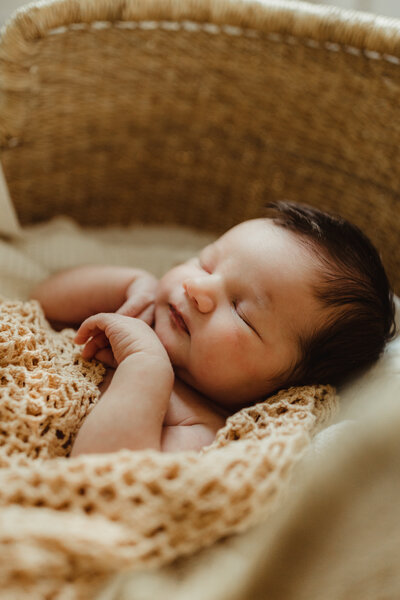 Newborn Photography Madison WI