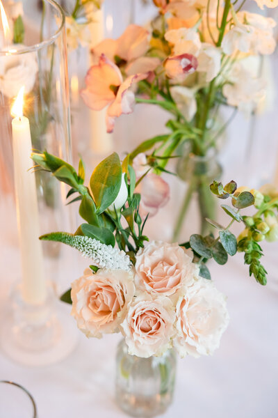 peach-colored=detail-shot-flowers.red-lion