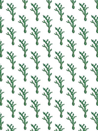 CoralDashGreen1