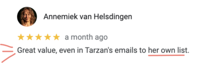Screenshot of 5-star google testimonial from Annemiek van Helsdingen that reads, “Great value, even in Tarzan's emails to her own list.”