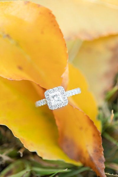 Derek-amy-esession-130