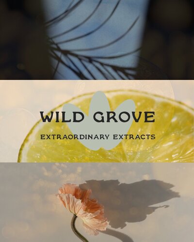 Soap by wild grove.zip - 10