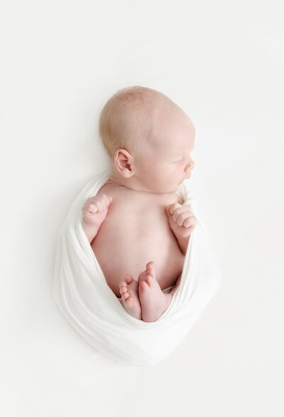 newborn sleeping and wrapped by chrissy winchester, charlotte portrait photographer