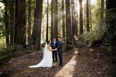 california elopement photographers